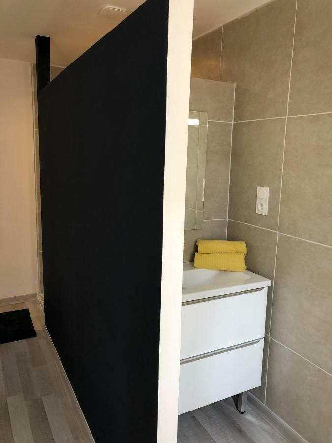 Fraichement Renove, Spacieux, Quartier Calme, Le Cocon De Lena Carcassonne Exteriér fotografie